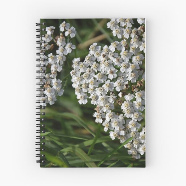 Item preview, Yarrow designed and sold by svehex.