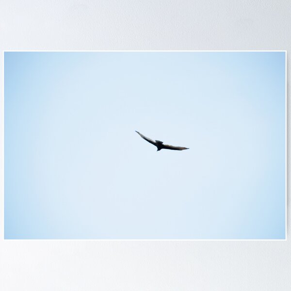 Item preview, flight designed and sold by Heather Chipps.