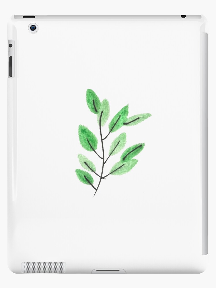 Green Hanging Plant Vector Illustration Graphic by Salfiart · Creative  Fabrica