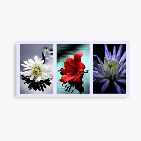 Item preview, Triptych of flowers designed and sold by Doug McRae.