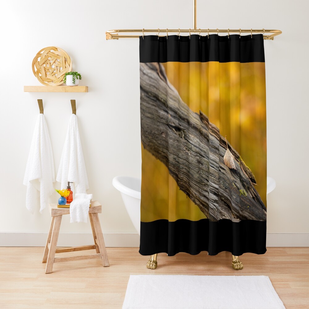 Leaf on dead tree in autumn forest Shower Curtain