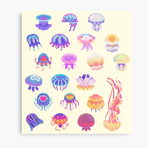 Box Jellyfish Wall Art for Sale