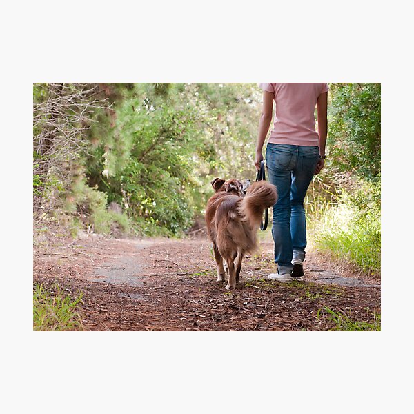 Item preview, Walk With Me designed and sold by -gila-.