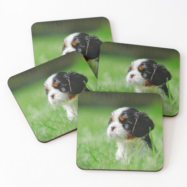 Aperçu de l'œuvre Chiot Cavalier King Charles Spaniel créée et vendue par PetsArt.