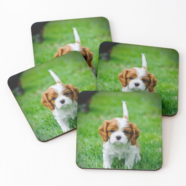 Item preview, Cavalier King Charles Spaniel puppy designed and sold by PetsArt.