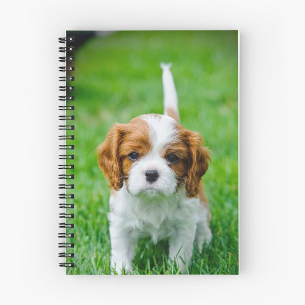 Item preview, Cavalier King Charles Spaniel puppy designed and sold by PetsArt.