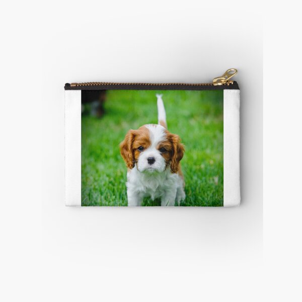 Item preview, Cavalier King Charles Spaniel puppy designed and sold by PetsArt.