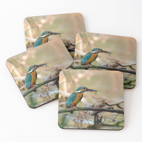 Item preview, Kingfisher with prey, Lago di Alviano, Umbria, Italy designed and sold by AndrewJonesFoto.