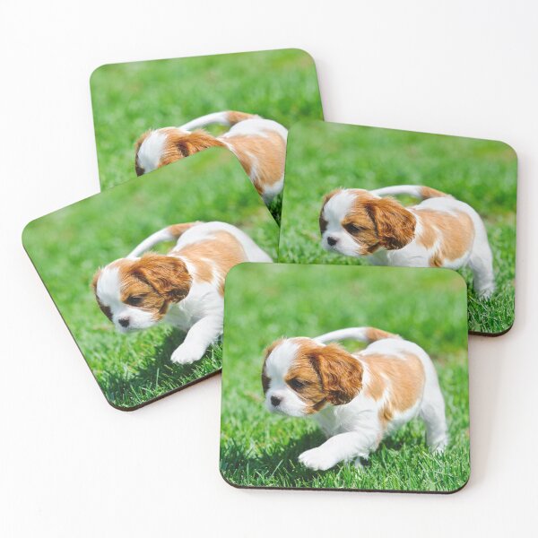 Aperçu de l'œuvre Chiot Cavalier King Charles Spaniel créée et vendue par PetsArt.