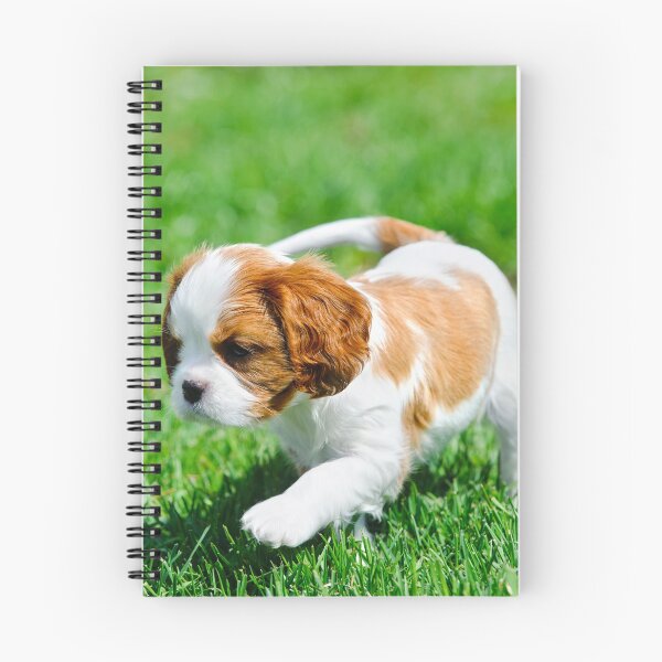 Item preview, Cavalier King Charles Spaniel puppy designed and sold by PetsArt.