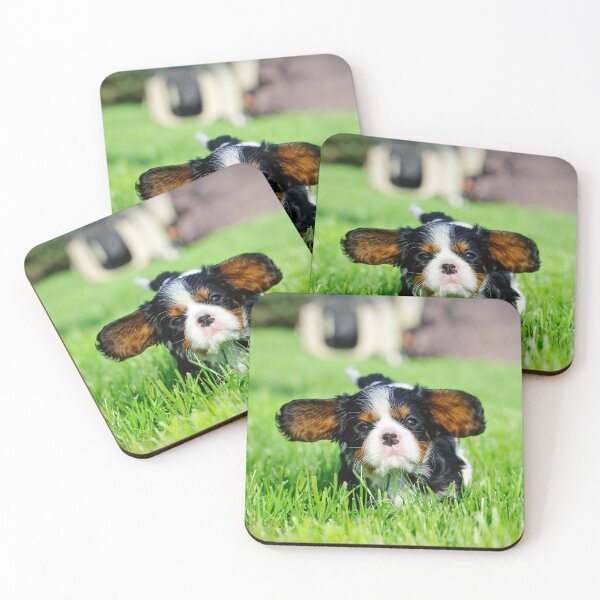 Aperçu de l'œuvre Chiot Cavalier King Charles Spaniel créée et vendue par PetsArt.