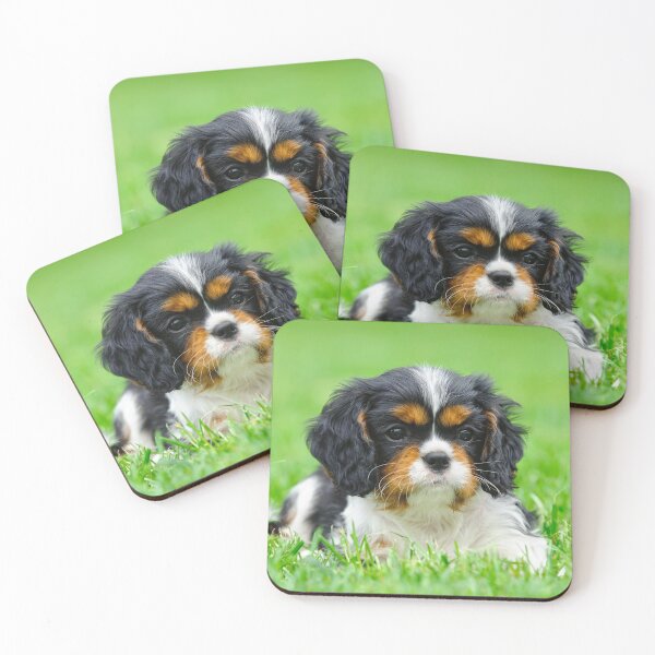 Aperçu de l'œuvre Chiot Cavalier King Charles Spaniel créée et vendue par PetsArt.