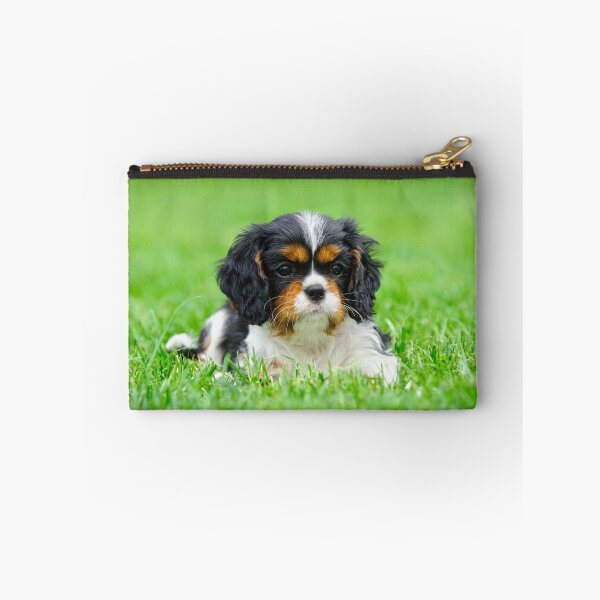 Item preview, Cavalier King Charles Spaniel puppy designed and sold by PetsArt.