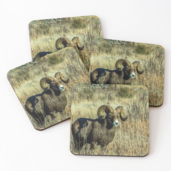 Item preview, Rocky Mountain Bighorn Sheep designed and sold by Bryan Spellman.