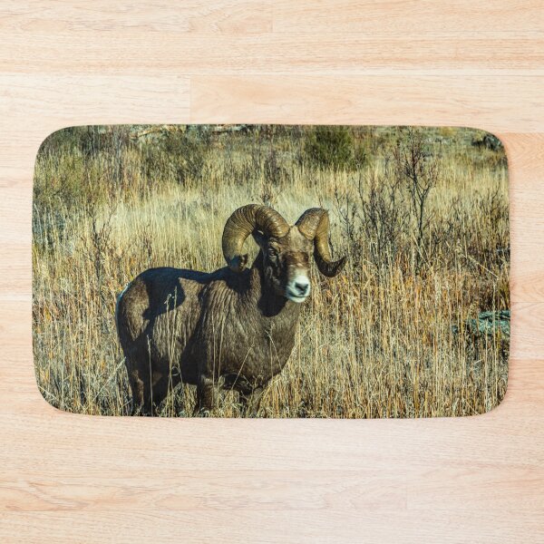 Item preview, Rocky Mountain Bighorn Sheep designed and sold by Bryan Spellman.