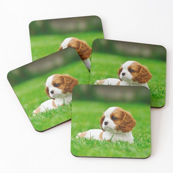 Aperçu de l'œuvre Chiot Cavalier King Charles Spaniel créée et vendue par PetsArt.