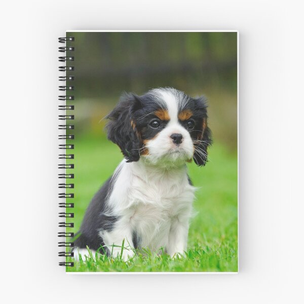 Item preview, Cavalier King Charles Spaniel puppy designed and sold by PetsArt.