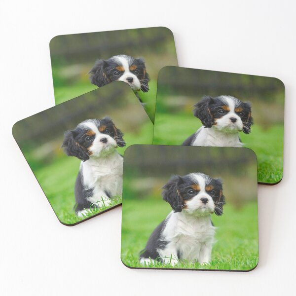 Aperçu de l'œuvre Chiot Cavalier King Charles Spaniel créée et vendue par PetsArt.
