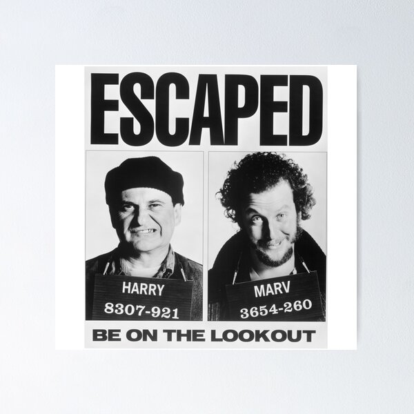 Item preview, Wet Bandits Escape designed and sold by DAN13L.