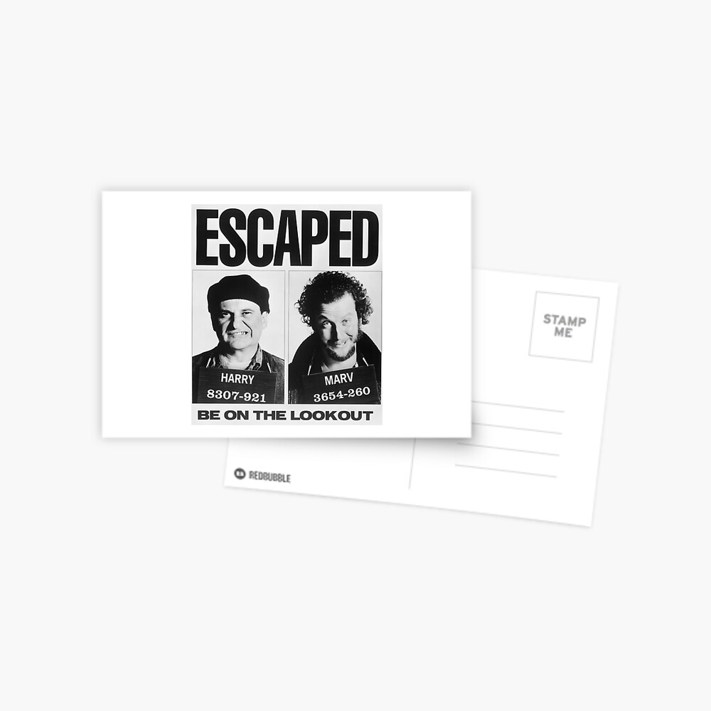 "Wet Bandits Escape" Postcard for Sale by DAN13L Redbubble