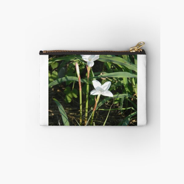 Item preview, Rain Lily Morning, the Third Day - View Larger designed and sold by Navigator.