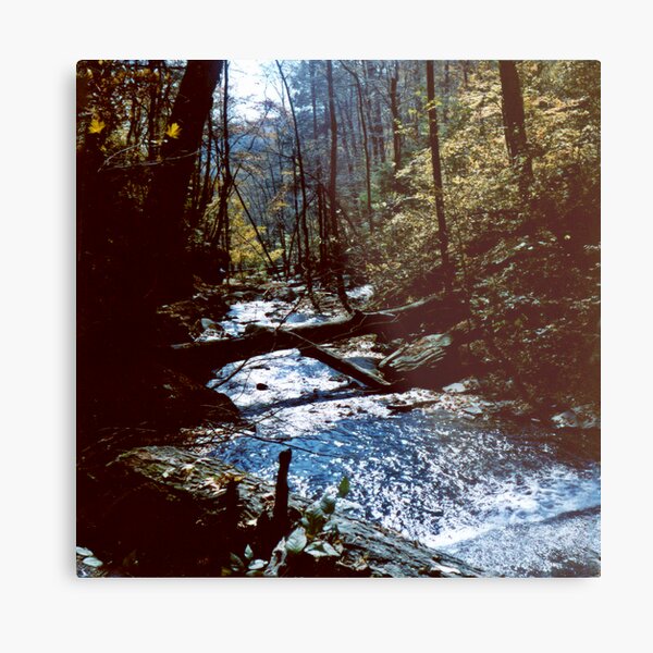 Ricketts Glen circa 1979 Metal Print