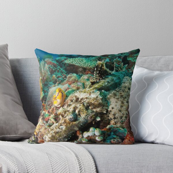 Item preview, Crocodilefish, North Sulawesi, Indonesia designed and sold by Erik Schlogl.