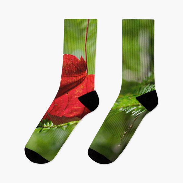 Item preview, Red Leaf Macro // High Resolution Photograph in the Evergreen Trees designed and sold by catbyrdcolorado.