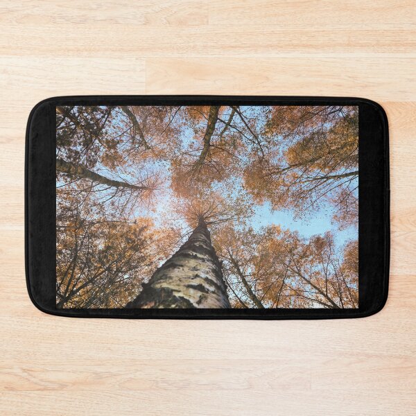 Item preview, Autumn Birch Tree forest designed and sold by birchwoodgreen.