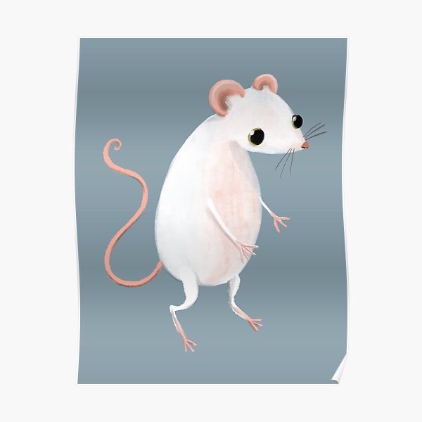 Cute little white mouse Poster
