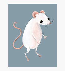 Cute little white mouse Photographic Print