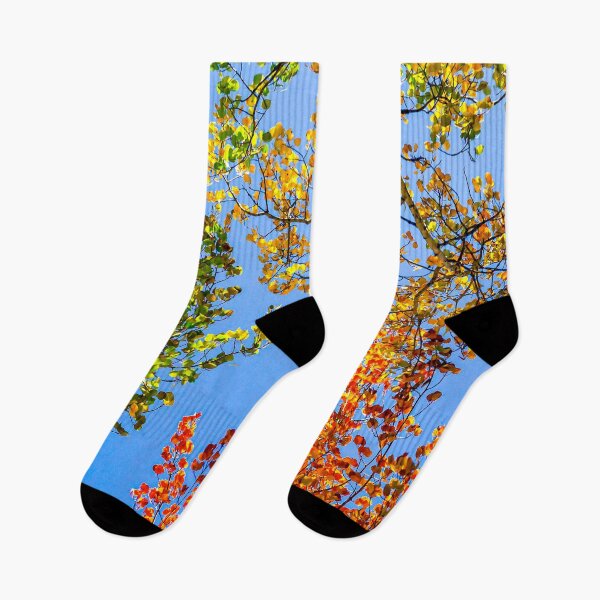 Item preview, Aspen Color Candy // Green Yellow Red and Orange Fall Leaf Colors designed and sold by catbyrdcolorado.