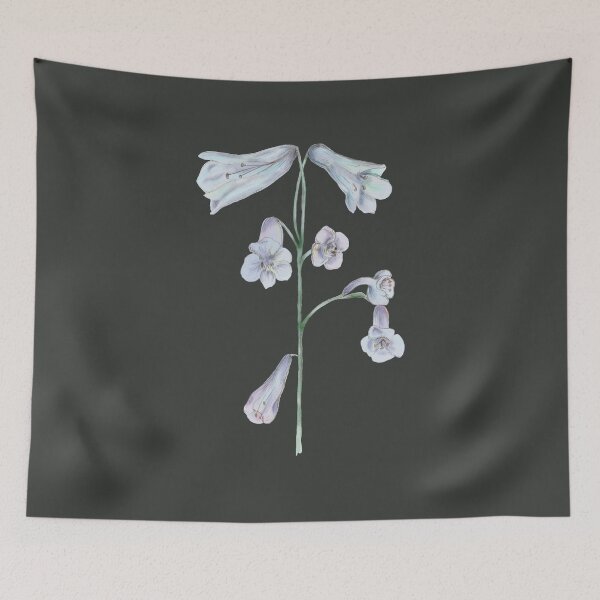 Item preview, Bellflower designed and sold by ivorry.