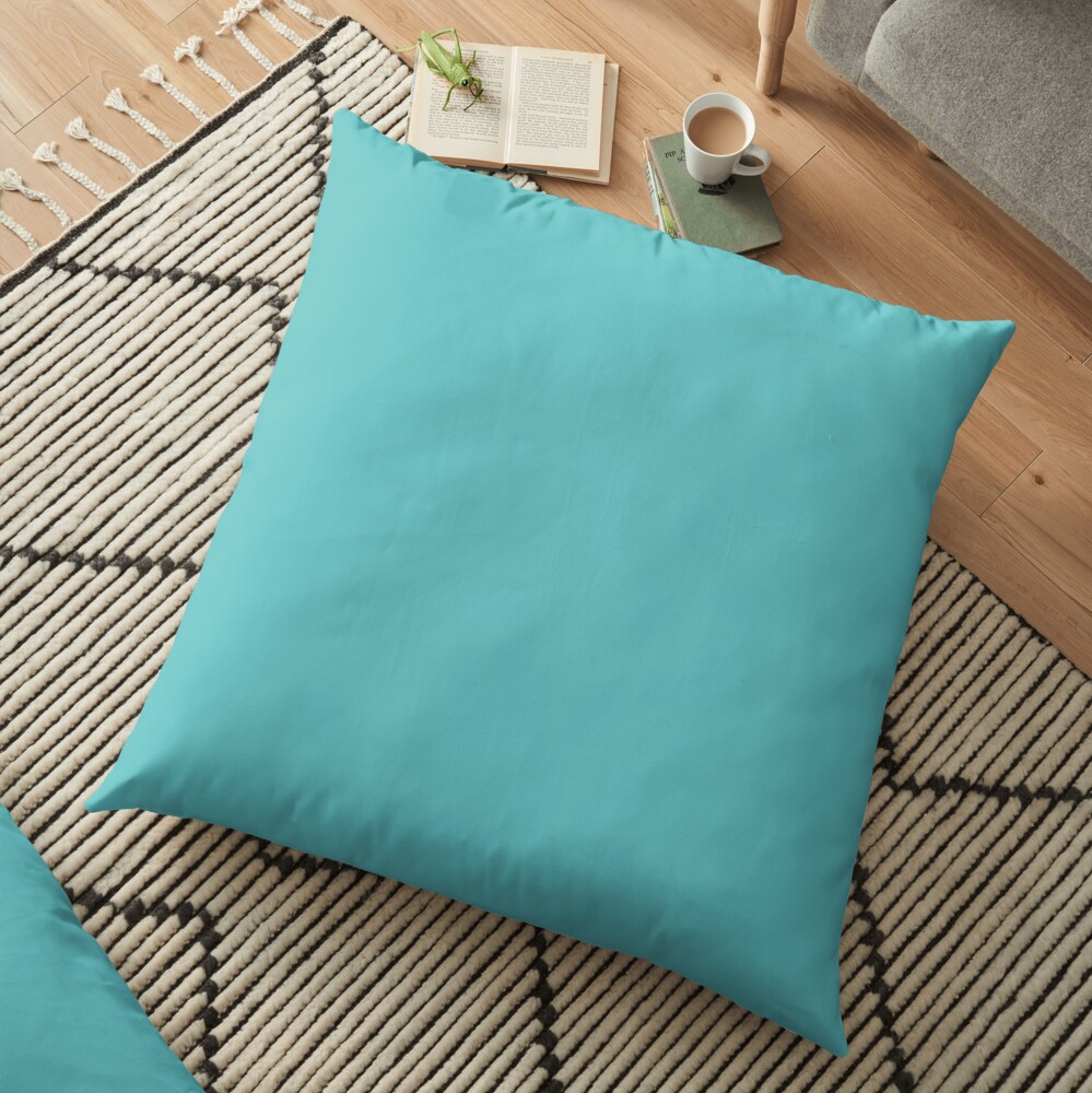Turquoise. Floor Pillow