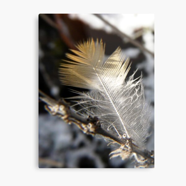 Item preview, little feather designed and sold by tego53.