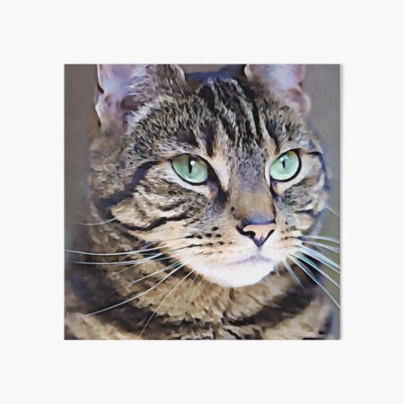 Tabby Green-Eyed Beauty Art Digital Art Painting Art Board Print