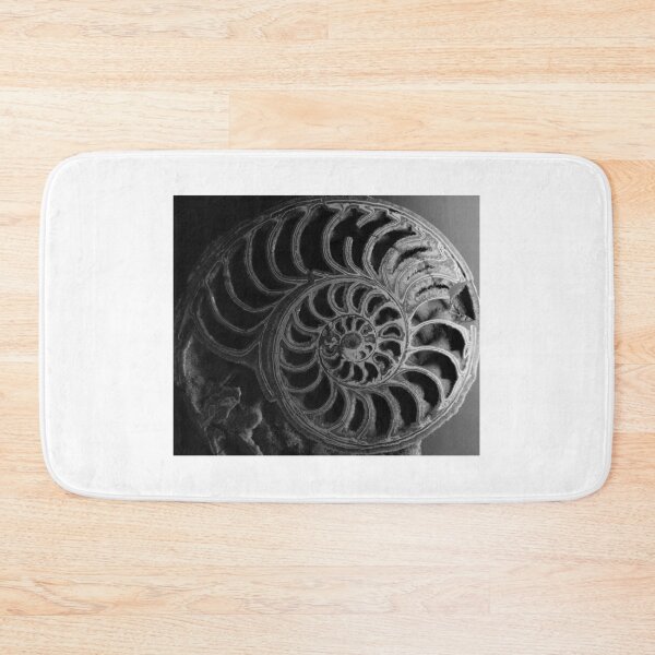 Item preview, Ammonoid. Sedgwick Museum of Earth Sciences, Cambridge, UK designed and sold by Igor Pozdnyakov.