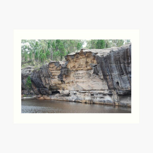 Dunns Swamp Art Print