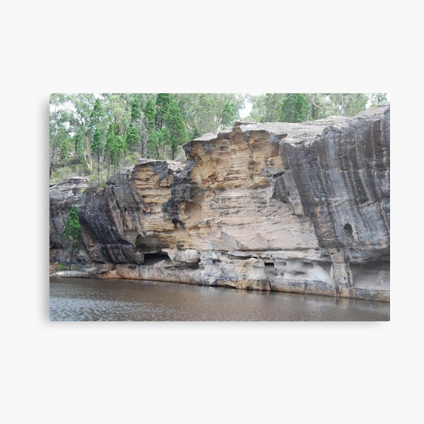 Dunns Swamp Metal Print