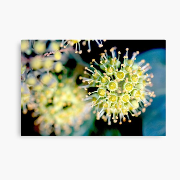 atomic flower Canvas Print
