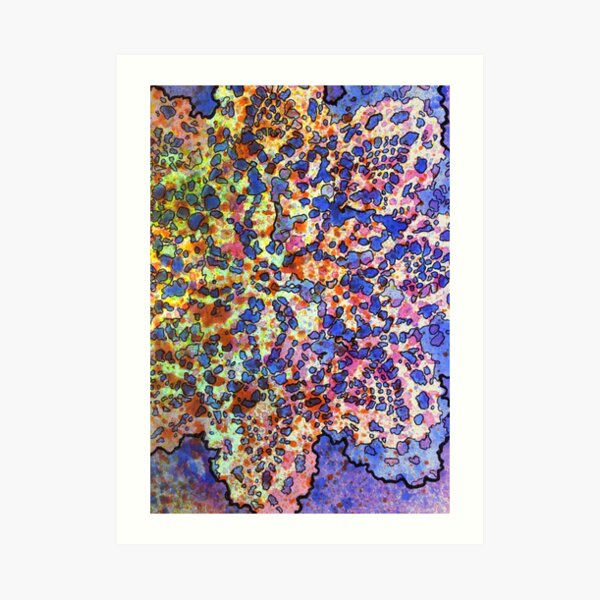 5, Inset A Art Print