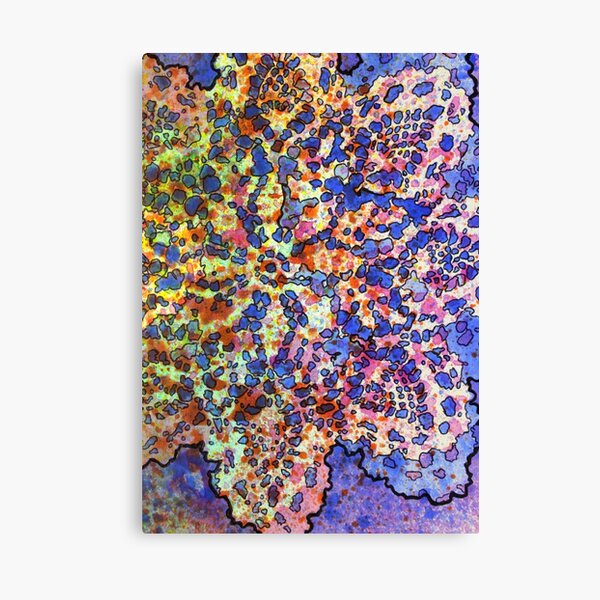 5, Inset A Canvas Print