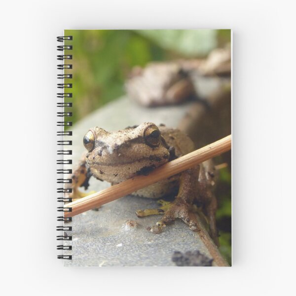 Item preview, Brown Tree Frogs designed and sold by Todays a Good Day.
