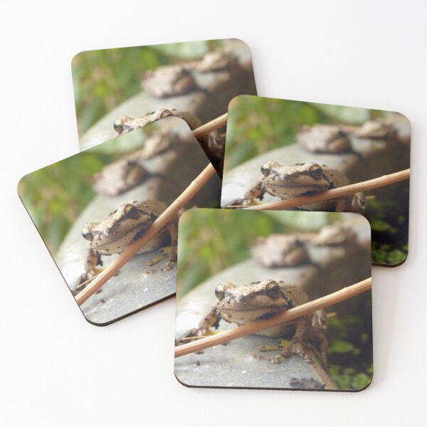 Item preview, Brown Tree Frogs designed and sold by Todays a Good Day.