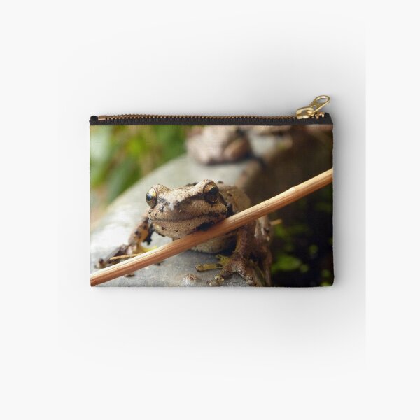 Item preview, Brown Tree Frogs designed and sold by Todays a Good Day.