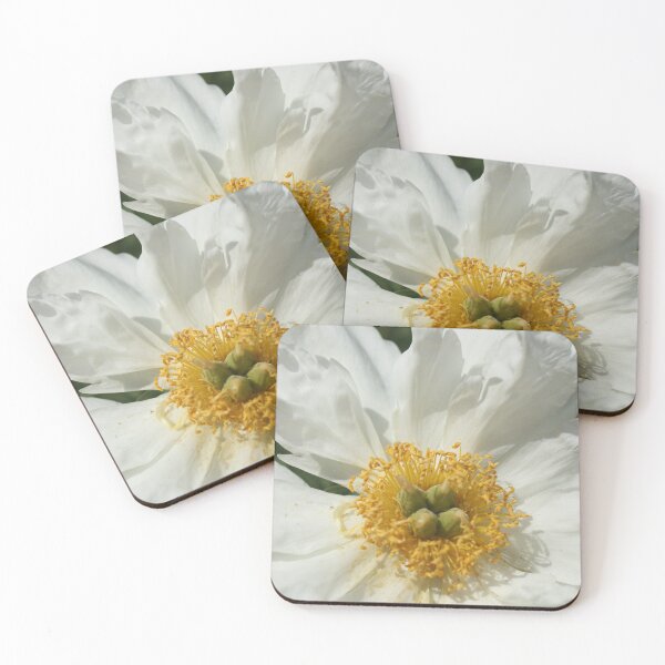 Item preview, White Peony Close-up designed and sold by stephenralph.