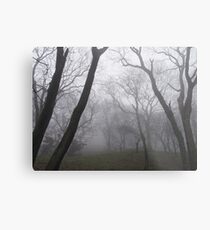 Eerie trees in mist Metal Print