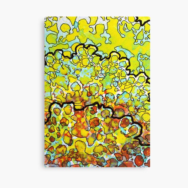 6, Inset A Canvas Print