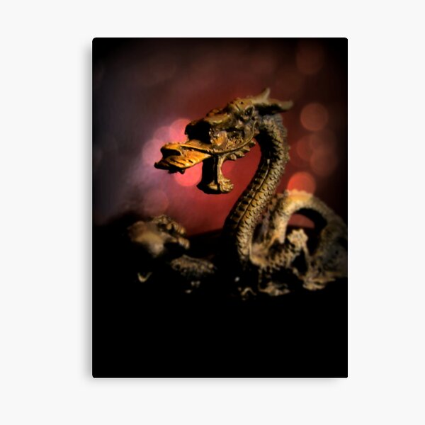Dragon Dream Canvas Print