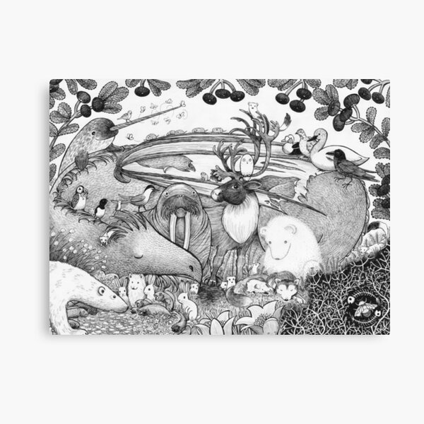 Arctic Circle Canvas Print